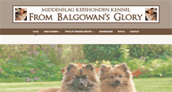 Desktop Screenshot of frombalgowansglory.nl